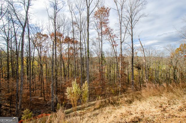 8555 Scenic Ridge Way, Ball Ground, GA 30107