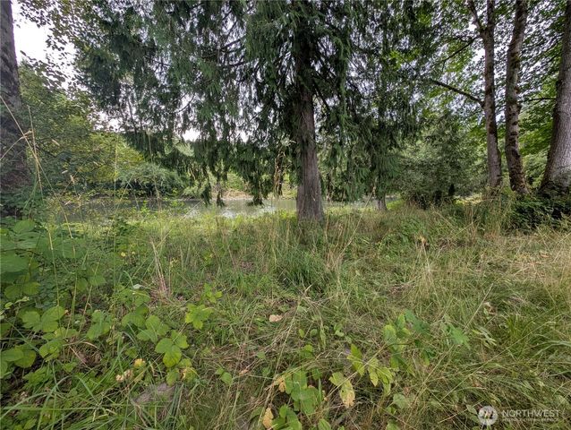 0 Trout Farm Road, Sultan, WA 98277