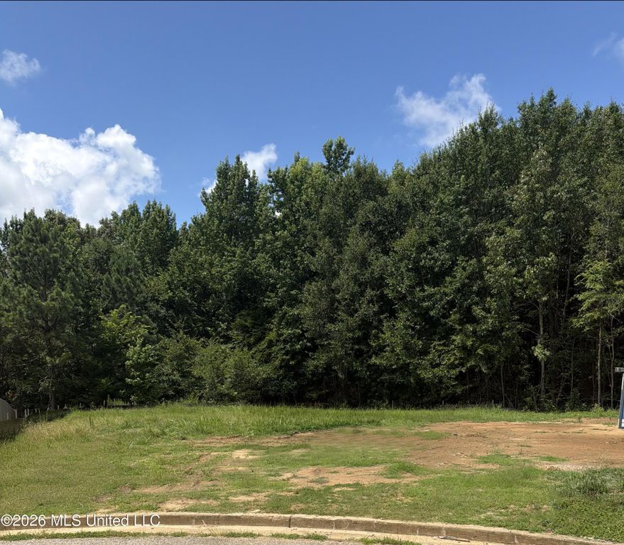 8015 Christian Court, Olive Branch, MS 38654 — exterior