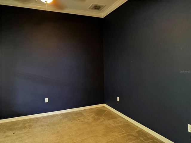 255 BAYBERRY DRIVE, Polk City, FL 33868