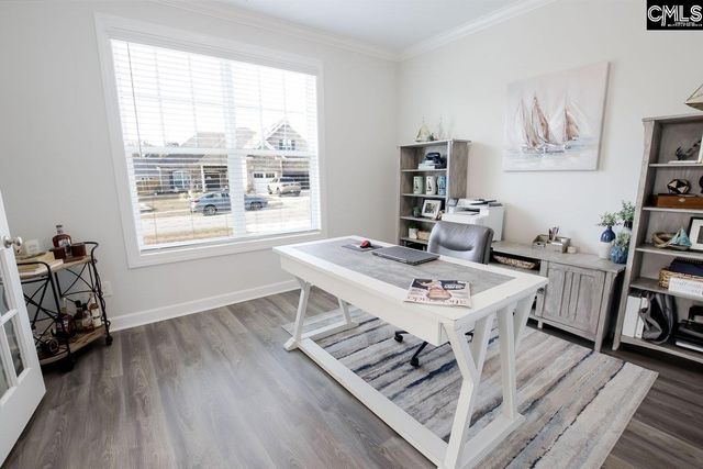 2130 Ludlow Place, Chapin, SC 29036