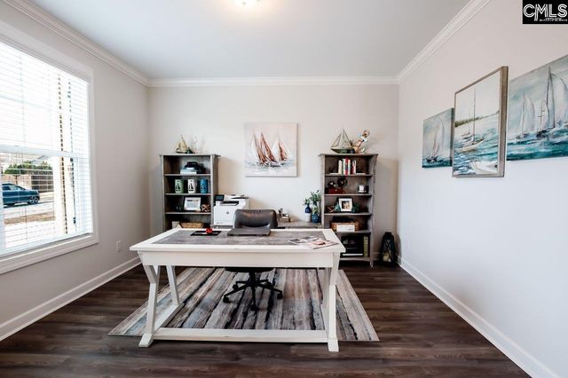 2130 Ludlow Place, Chapin, SC 29036