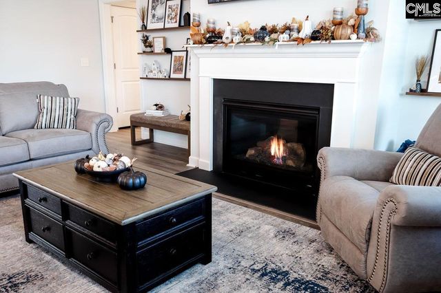 2130 Ludlow Place, Chapin, SC 29036