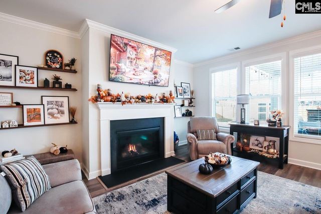 2130 Ludlow Place, Chapin, SC 29036