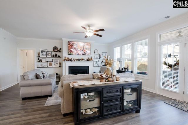 2130 Ludlow Place, Chapin, SC 29036