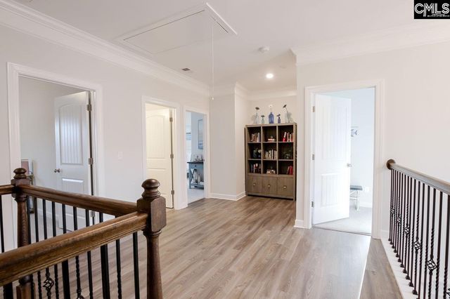 2130 Ludlow Place, Chapin, SC 29036