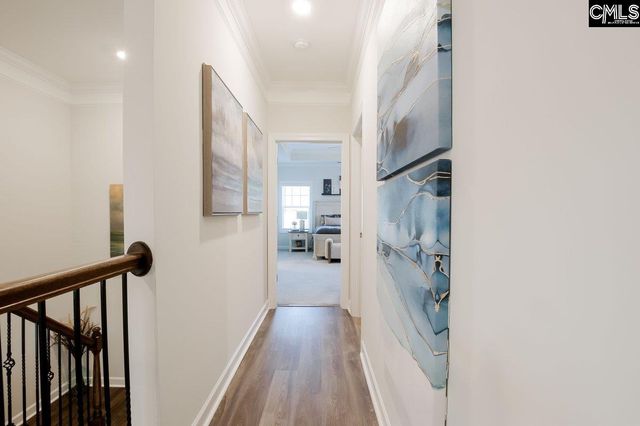 2130 Ludlow Place, Chapin, SC 29036