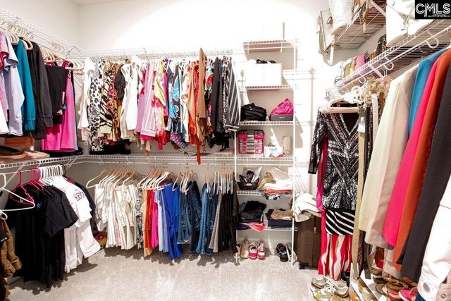 2130 Ludlow Place, Chapin, SC 29036