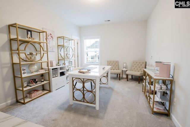 2130 Ludlow Place, Chapin, SC 29036