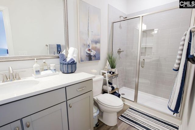 2130 Ludlow Place, Chapin, SC 29036