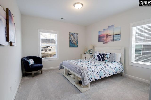 2130 Ludlow Place, Chapin, SC 29036