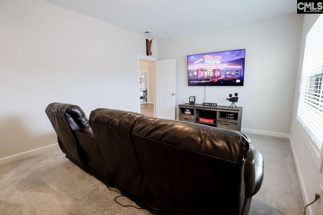 2130 Ludlow Place, Chapin, SC 29036