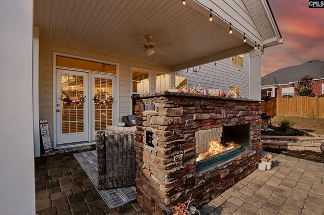 2130 Ludlow Place, Chapin, SC 29036