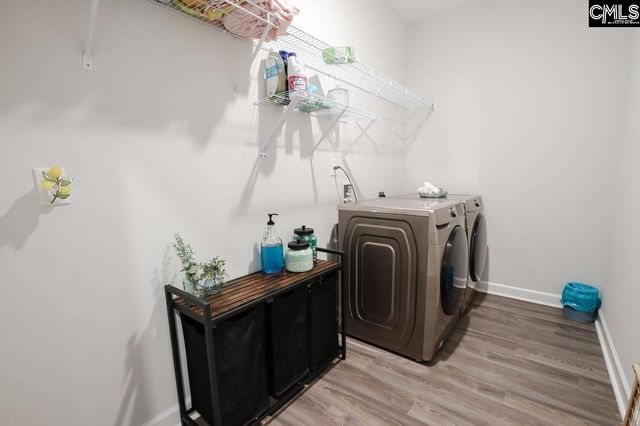 2130 Ludlow Place, Chapin, SC 29036