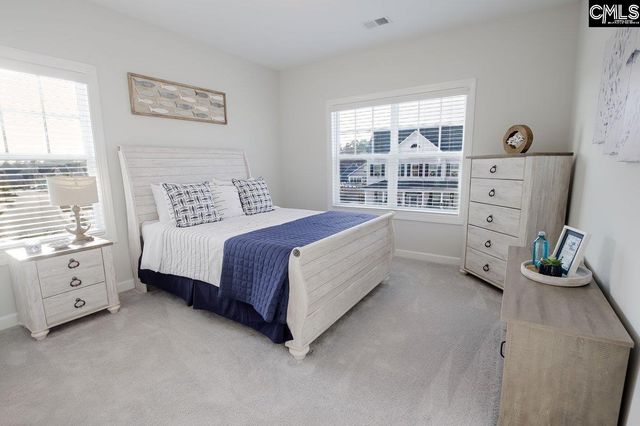 2130 Ludlow Place, Chapin, SC 29036