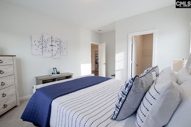 2130 Ludlow Place, Chapin, SC 29036