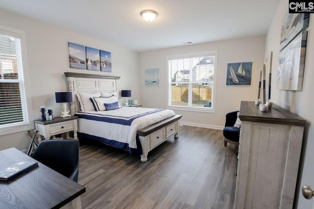 2130 Ludlow Place, Chapin, SC 29036