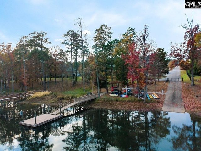 2130 Ludlow Place, Chapin, SC 29036