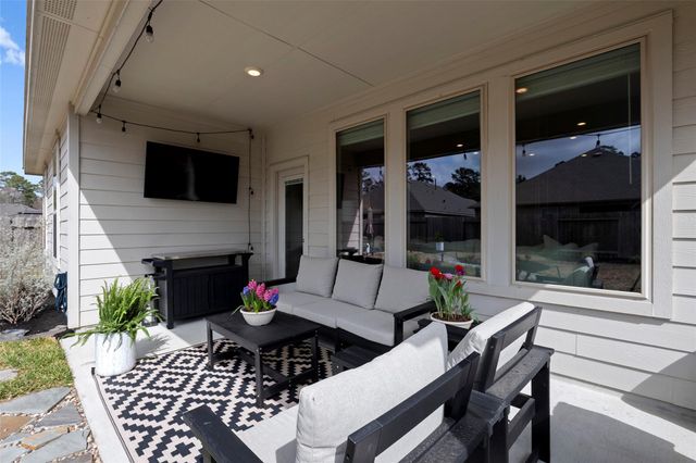 14239 Volcano Perch Drive, Conroe, TX 77384