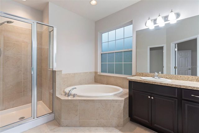 6936 ROCKY CANYON WAY, Tampa, FL 33625