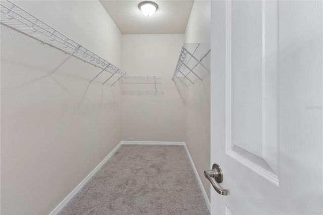 6936 ROCKY CANYON WAY, Tampa, FL 33625