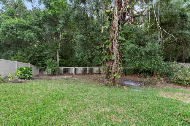 6936 ROCKY CANYON WAY, Tampa, FL 33625