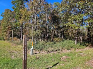 TBD Rolling Springs Street, Trinity, TX 75862