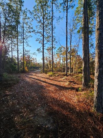 111 GLADIOLA DRIVE, Interlachen, FL 32148