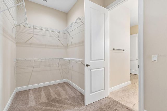 13047 SANCTUARY VILLAGE LANE, Tampa, FL 33624