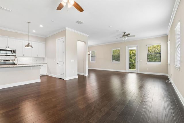 13047 SANCTUARY VILLAGE LANE, Tampa, FL 33624