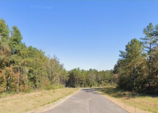 4601 High Meadow West Court, Montgomery, TX 77316