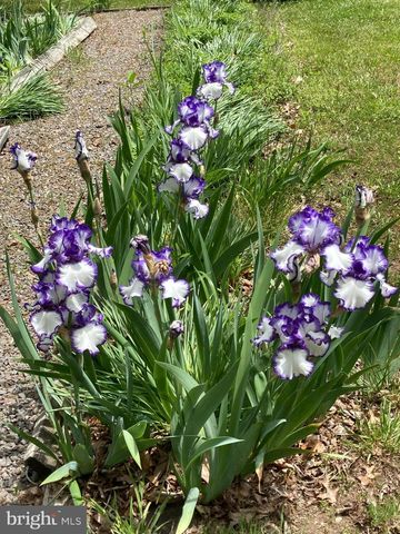 819 PACKING HOUSE RD, Berkeley Springs, WV 25411