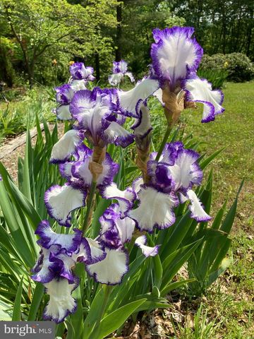819 PACKING HOUSE RD, Berkeley Springs, WV 25411