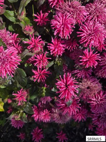 5100 E Nelson Drive, Iona, ID 83427