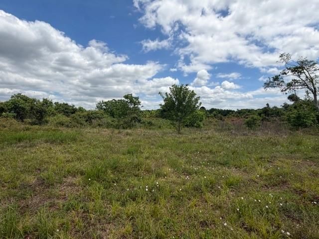 1711 County Road 773, Angleton, TX 77515