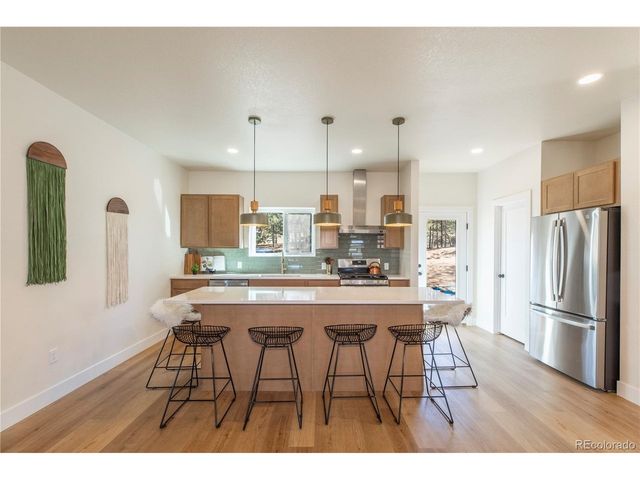 484 Due South Rd, Florissant, CO 80816