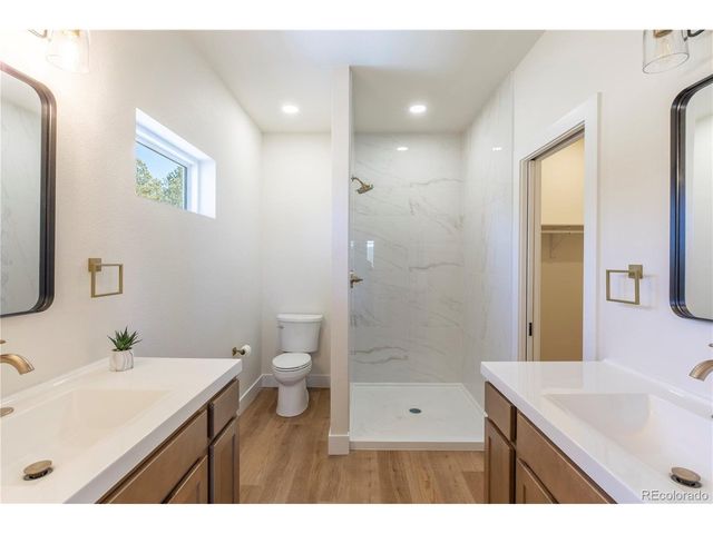 484 Due South Rd, Florissant, CO 80816