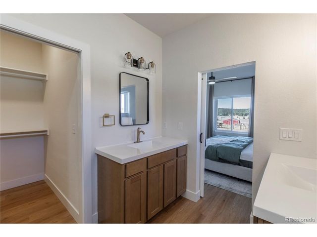 484 Due South Rd, Florissant, CO 80816