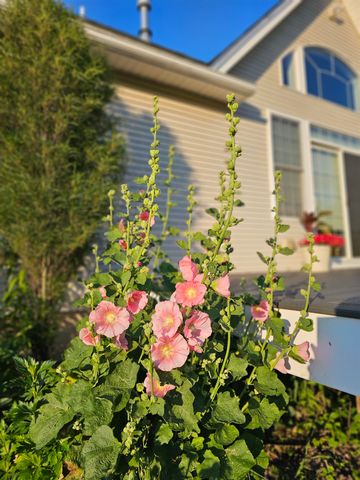 55 Braeside Place, Ferrisburgh, VT 05473