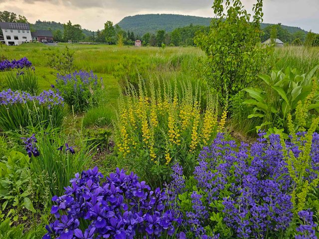 55 Braeside Place, Ferrisburgh, VT 05473