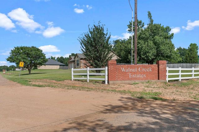 102 Tiger Lily, Diana, TX 75640