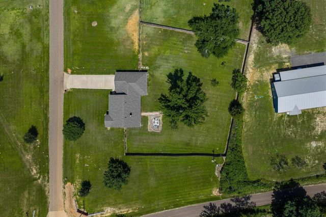 102 Tiger Lily, Diana, TX 75640