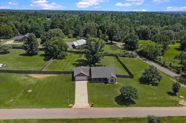 102 Tiger Lily, Diana, TX 75640
