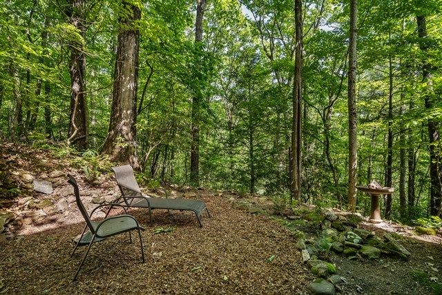 772 Double Knob Road, Ellijay, GA 30540