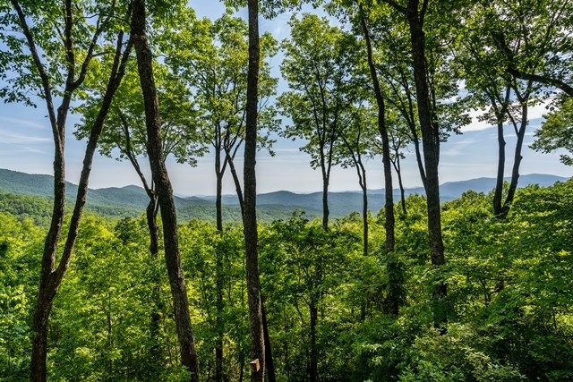 772 Double Knob Road, Ellijay, GA 30540