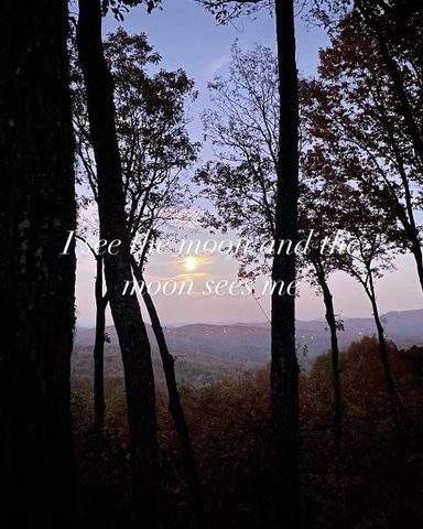 772 Double Knob Road, Ellijay, GA 30540