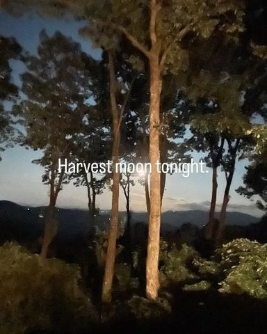 772 Double Knob Road, Ellijay, GA 30540