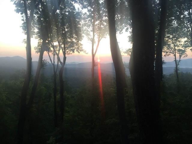 772 Double Knob Road, Ellijay, GA 30540