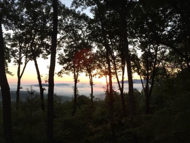 772 Double Knob Road, Ellijay, GA 30540