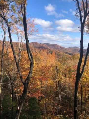 772 Double Knob Road, Ellijay, GA 30540